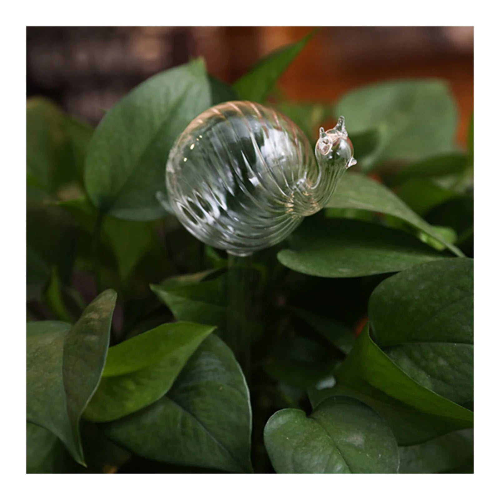Cute Automatic Flower Watering Device Glass Self-Watering Stakes Plant Glass Waterer Automatic Irrigation Water Globe CL