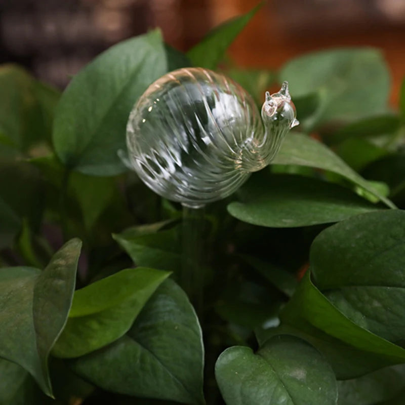 Cute Automatic Flower Watering Device Glass Self-Watering Stakes Plant Glass Waterer Automatic Irrigation Water Globe CL
