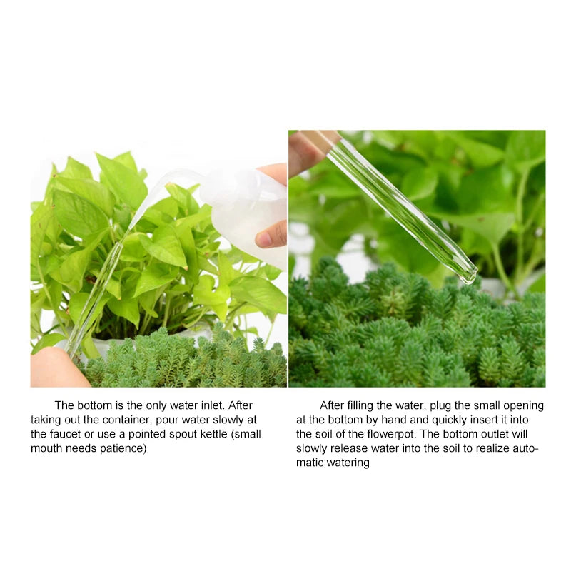 Cute Automatic Flower Watering Device Glass Self-Watering Stakes Plant Glass Waterer Automatic Irrigation Water Globe CL