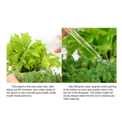 Cute Automatic Flower Watering Device Glass Self-Watering Stakes Plant Glass Waterer Automatic Irrigation Water Globe CL