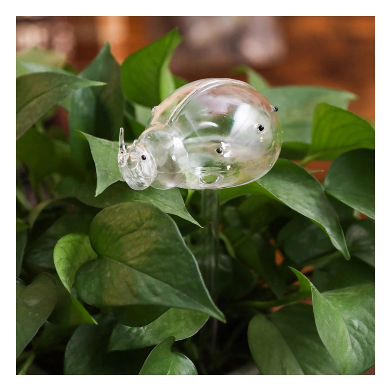 Cute Automatic Flower Watering Device Glass Self-Watering Stakes Plant Glass Waterer Automatic Irrigation Water Globe CL