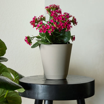 11 In. Beige Resin Self-Watering Planter